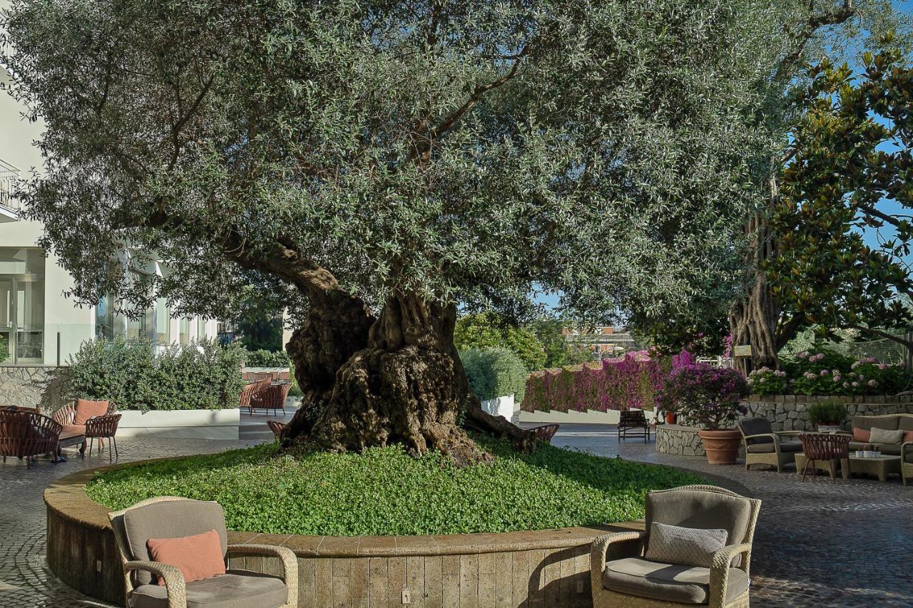 Hotel Conca Park Sorrento Esterno foto